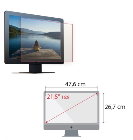 Protectores para Monitores